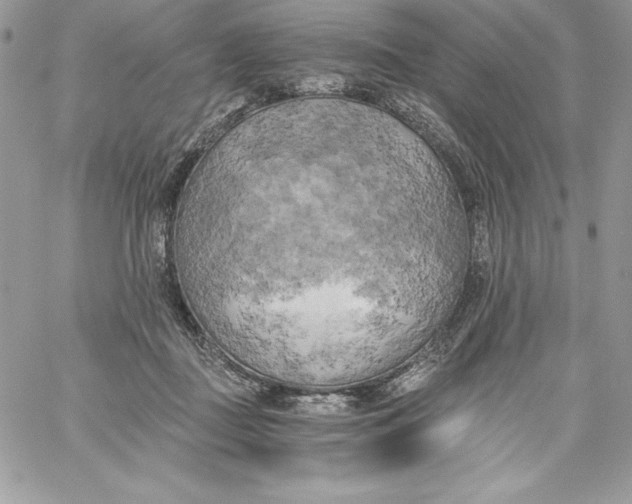 X0000058800363200510211845
