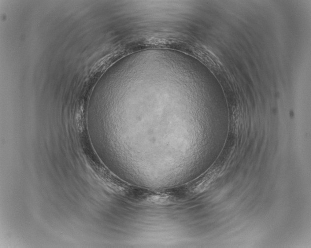 X0000058800364200510211845