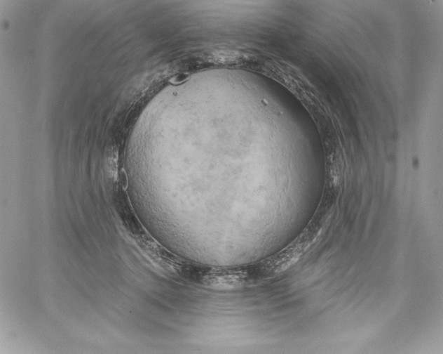 X0000058800368200510211845
