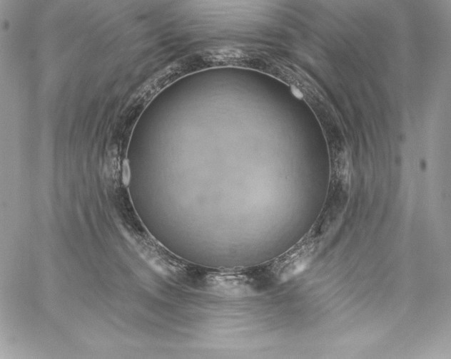 X0000058800372200510211845