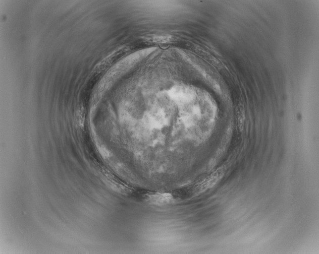 X0000058800374200510211845