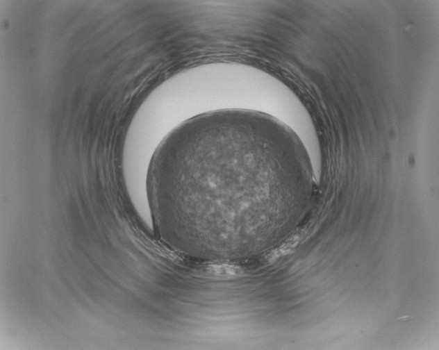 X0000058800376200510211845