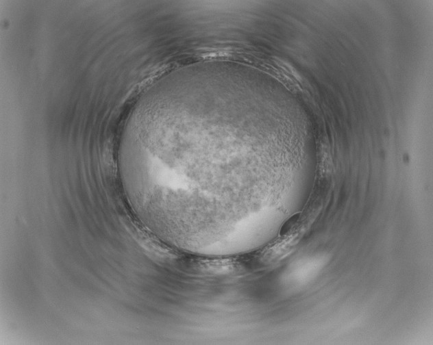X0000058800377200510211845