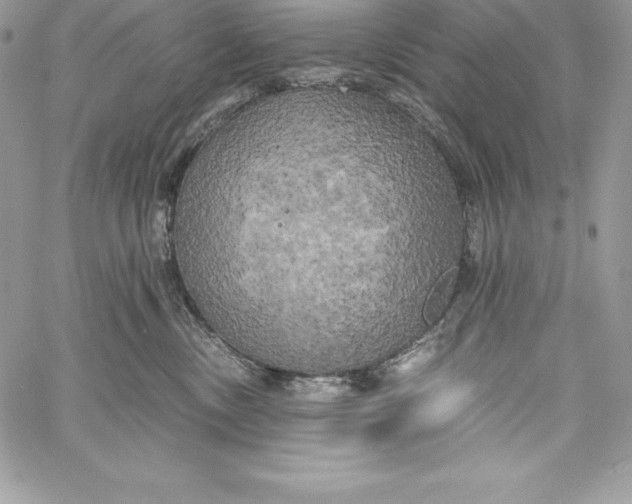X0000058800378200510211845