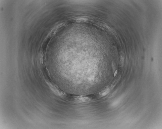 X0000058800379200510211845