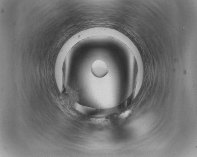 X0000058800380200510211845