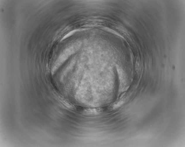 X0000058800381200510211845