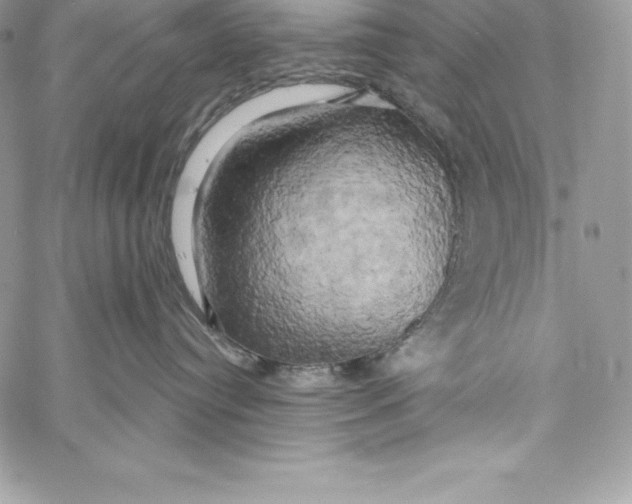 X0000058800384200510211845