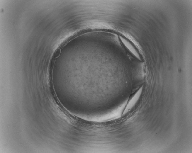 X0000058800391200510211844