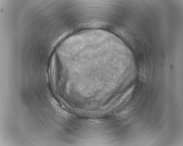X0000058800394200510211844
