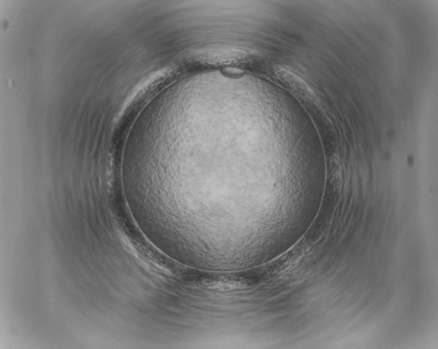 X0000058800400200510211844