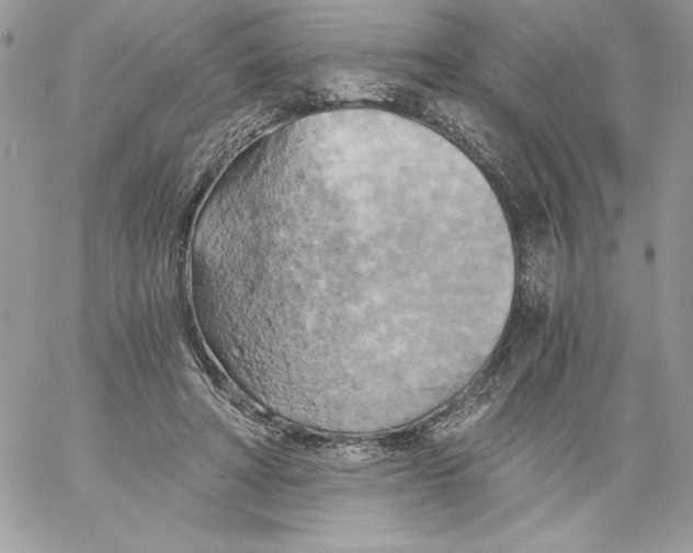 X0000058800402200510211844