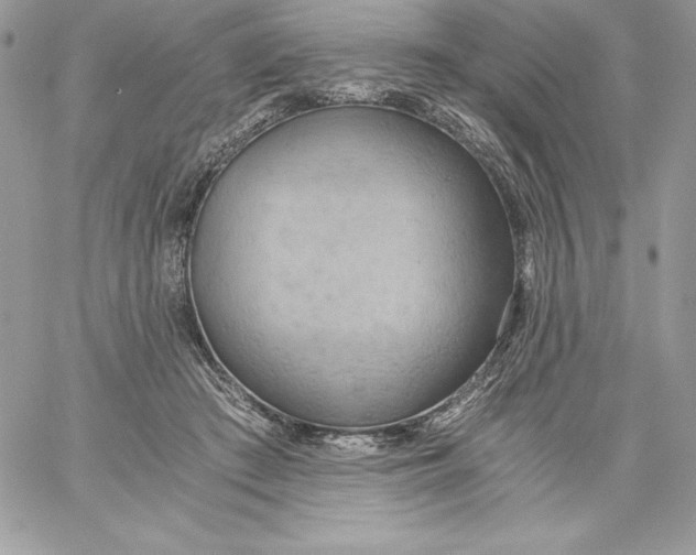 X0000058800409200510211844