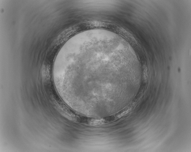X0000058800410200510211844