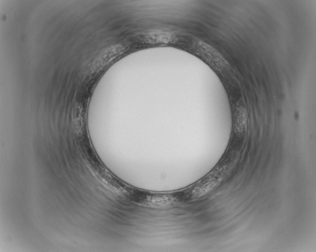 X0000058800414200510211844