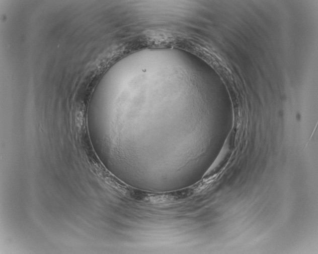 X0000058800417200510211844