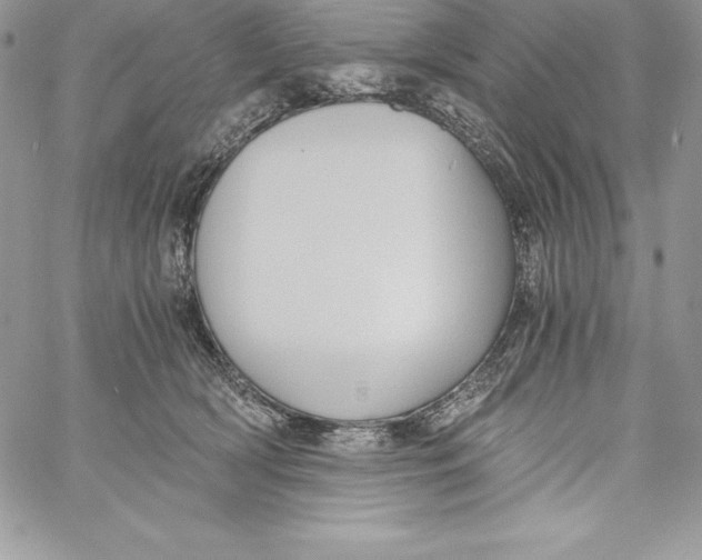 X0000058800418200510211844