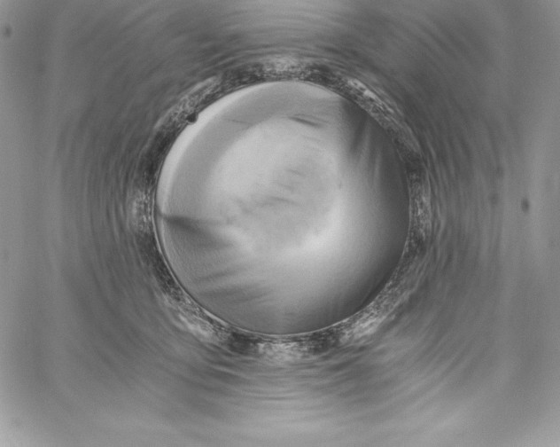 X0000058800419200510211844