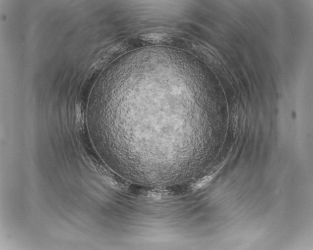 X0000058800420200510211844