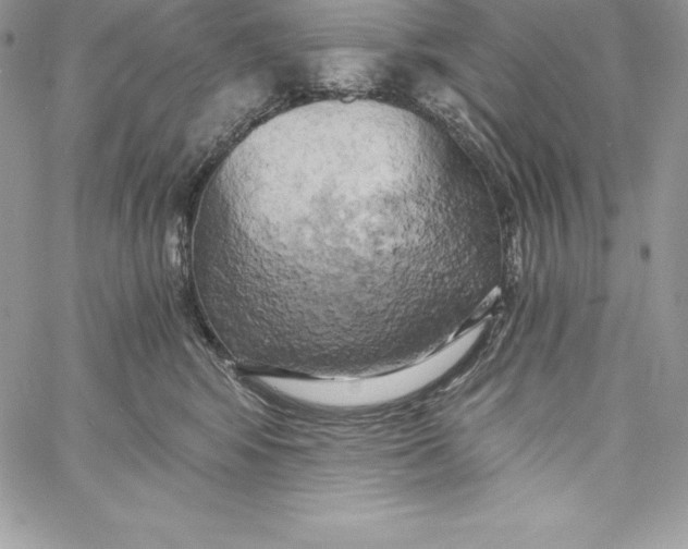 X0000058800424200510211844