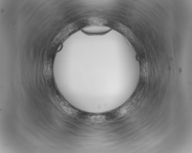 X0000058800426200510211844