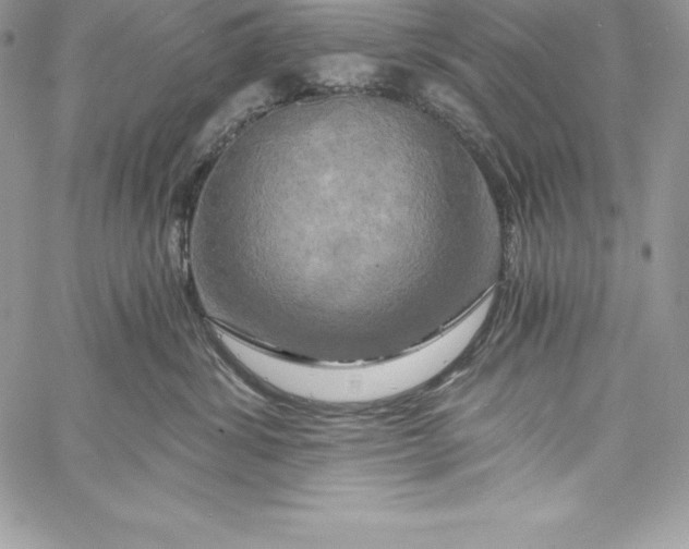 X0000058800428200510211844