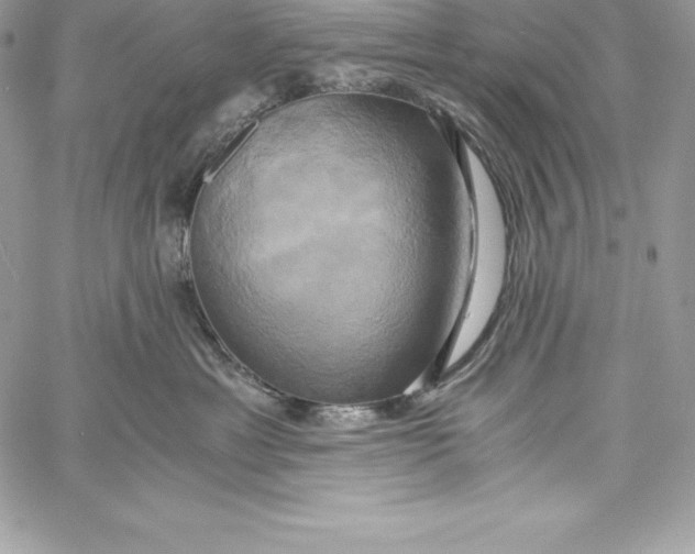 X0000058800429200510211844