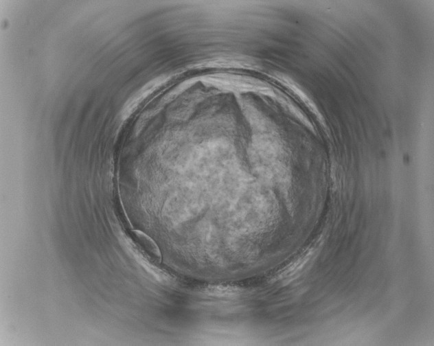 X0000058800437200510211843