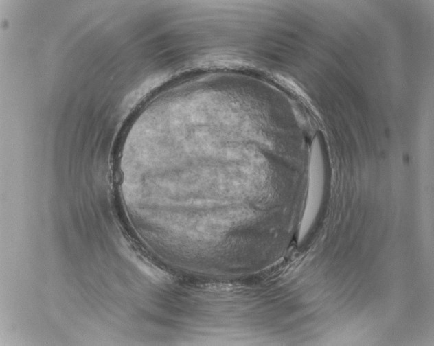 X0000058800439200510211843