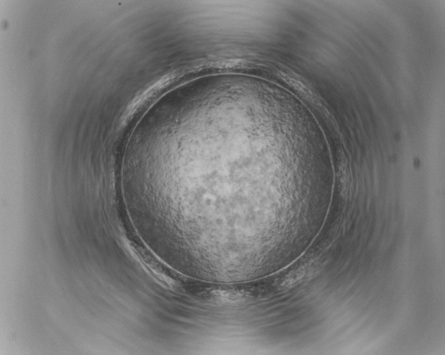X0000058800442200510211843