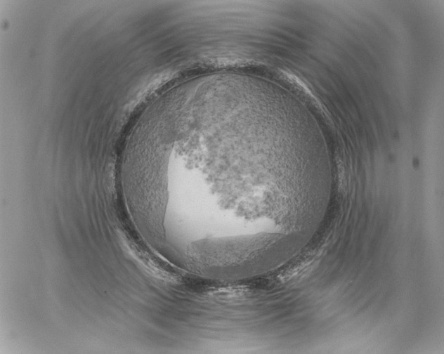 X0000058800447200510211843