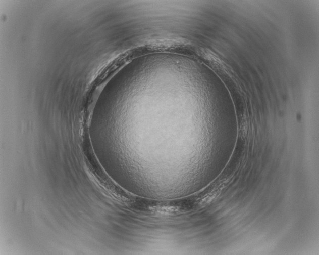 X0000058800448200510211843