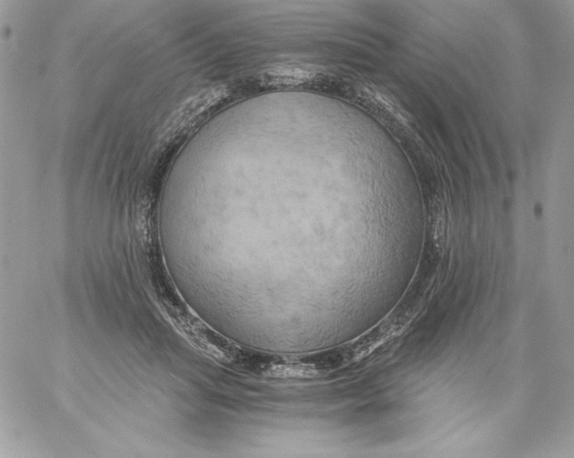 X0000058800455200510211843