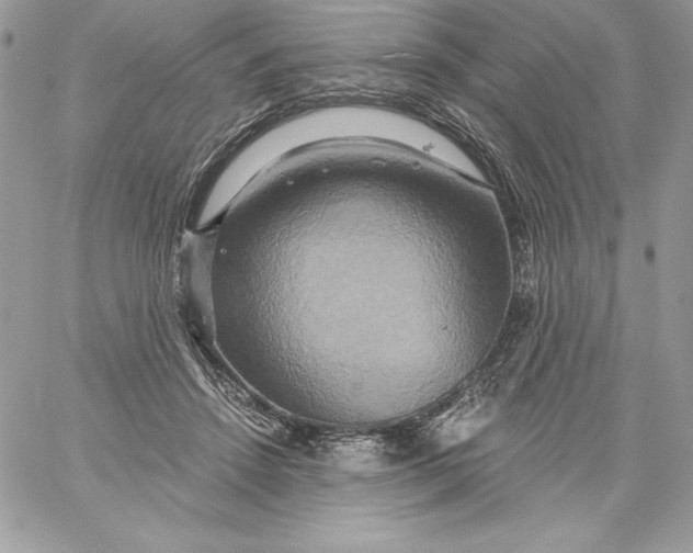 X0000058800456200510211843