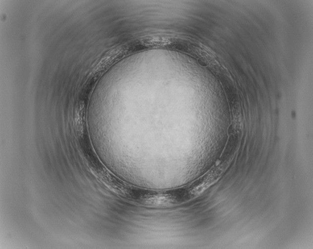 X0000058800460200510211843