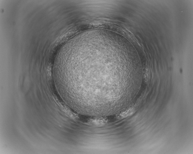 X0000058800466200510211843