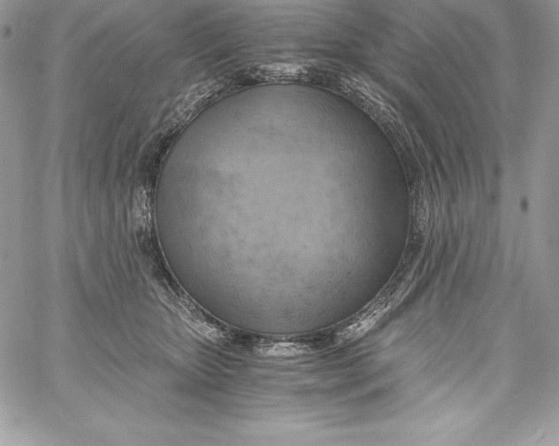 X0000058800467200510211843