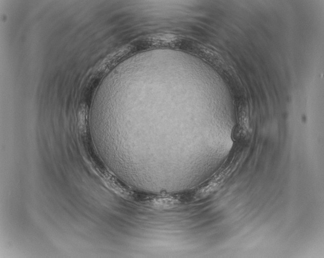 X0000058800468200510211843