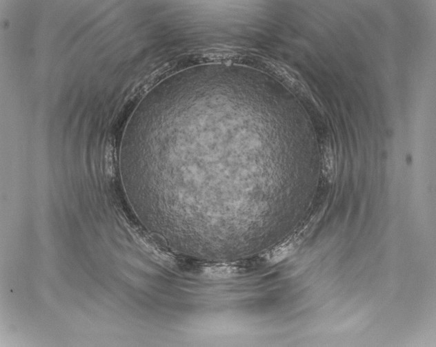 X0000058800470200510211843
