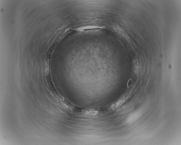X0000058800471200510211843