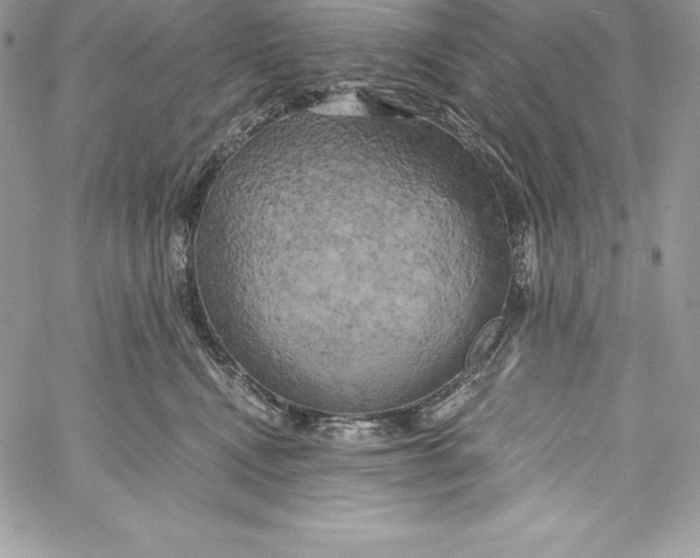 X0000058800472200510211843