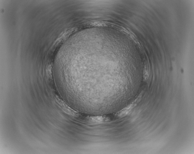 X0000058800473200510211843