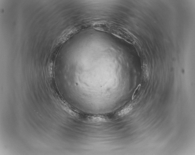 X0000058800475200510211843