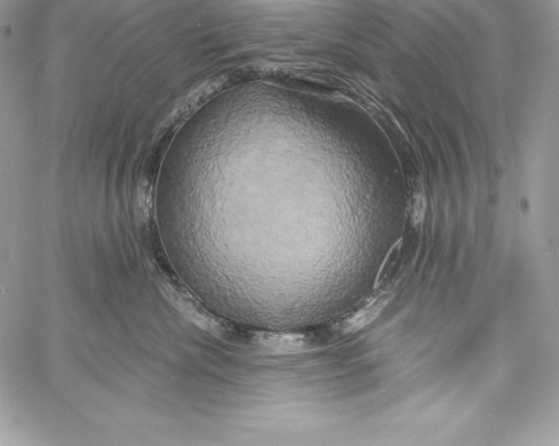 X0000058800476200510211843