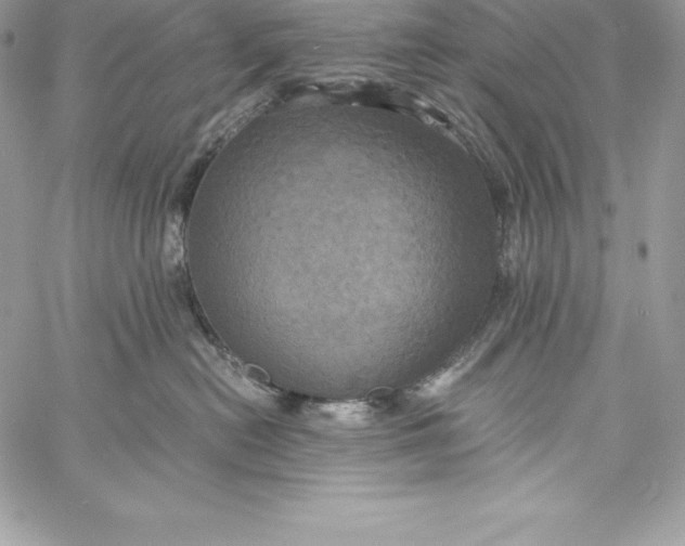X0000058800478200510211843