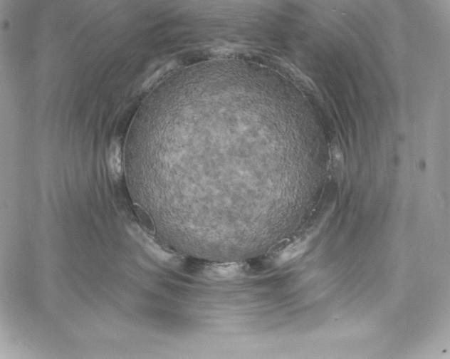 X0000058800479200510211843