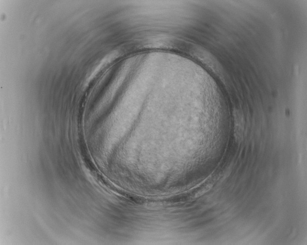 X0000058800482200510211843