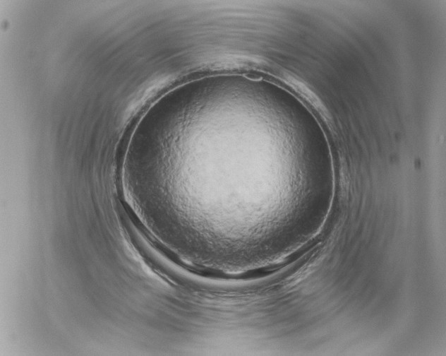 X0000058800485200510211843