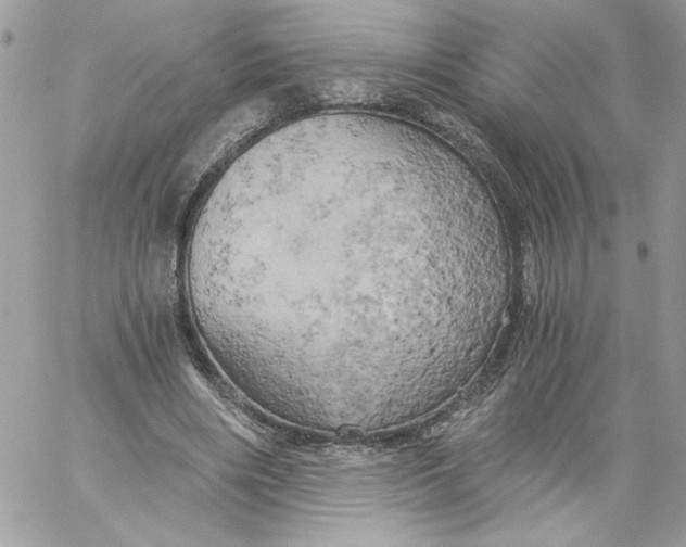 X0000058800490200510211843