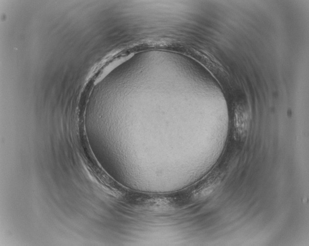 X0000058800492200510211843